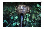 Fountain at Villa Este by Anonymous