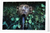 Fountain at Villa Este by Anonymous