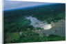 River and Forest by Anonymous