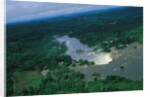 River and Forest by Anonymous