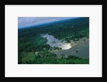 River and Forest by Anonymous