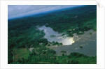 River and Forest by Anonymous
