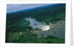 River and Forest by Anonymous