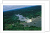 River and Forest by Anonymous