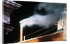Chimney Emitting White Smoke Announcing Pope's Election by Anonymous