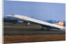 Concorde Taking Off by Anonymous