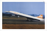 Concorde Taking Off by Anonymous