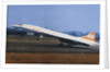 Concorde Taking Off by Anonymous
