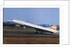 Concorde Taking Off by Anonymous