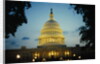 United States Capitol Building at Dusk by Anonymous