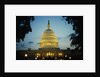 United States Capitol Building at Dusk by Anonymous