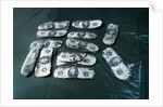 Hijacker D. B. Cooper's Monies Found by Anonymous
