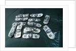 Hijacker D. B. Cooper's Monies Found by Anonymous