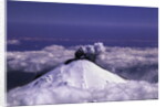 Mount St. Helens Erupting by Anonymous