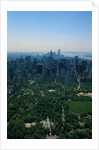 New York's Central Park by Anonymous