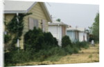 Boarded-Up Homes by Anonymous