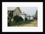 Boarded-Up Homes by Anonymous