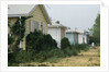 Boarded-Up Homes by Anonymous