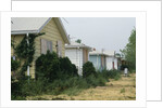 Boarded-Up Homes by Anonymous