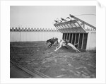Dogs Racing with Monkeys on Their Backs by Anonymous