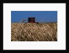 Wheat Field in Kansas by Anonymous