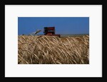 Wheat Field in Kansas by Anonymous