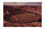 Football Stadium by Anonymous