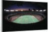 Busch Memorial Stadium by Anonymous