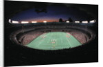 Busch Memorial Stadium by Anonymous