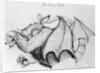 Illustration of the Mythological Jersey Devil by Anonymous