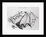 Illustration of the Mythological Jersey Devil by Anonymous