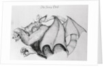 Illustration of the Mythological Jersey Devil by Anonymous