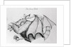 Illustration of the Mythological Jersey Devil by Anonymous
