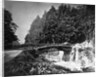 Sacred Bridge by Anonymous