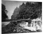 Sacred Bridge by Anonymous
