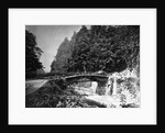 Sacred Bridge by Anonymous