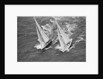 America's Cup Competitors by Anonymous