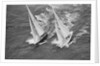 America's Cup Competitors by Anonymous