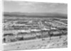 Suburban Housing Development by Anonymous