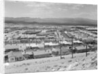 Suburban Housing Development by Anonymous