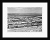 Suburban Housing Development by Anonymous