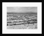 Suburban Housing Development by Anonymous