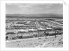 Suburban Housing Development by Anonymous