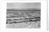 Suburban Housing Development by Anonymous