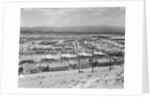 Suburban Housing Development by Anonymous