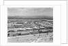 Suburban Housing Development by Anonymous