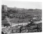 Box Car Village in New York by Anonymous