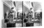 Naples Museum by Anonymous