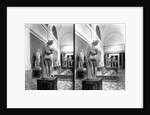 Naples Museum by Anonymous