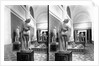 Naples Museum by Anonymous